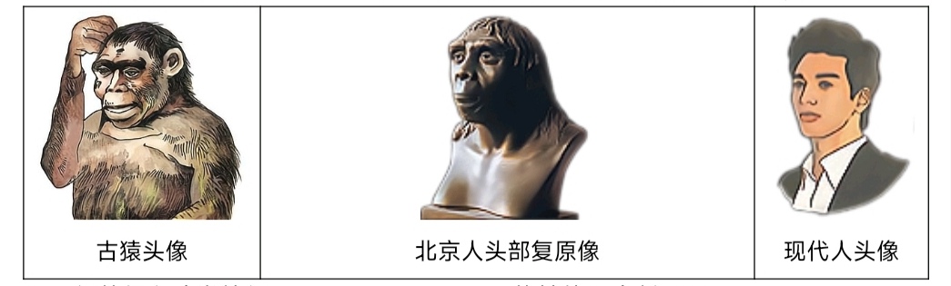 1000004619.jpg