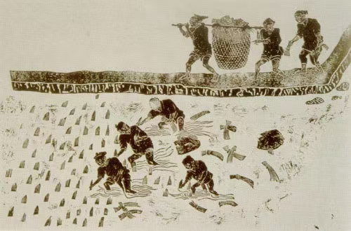 图片10.png
