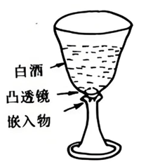 1000006061.png
